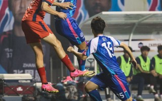 星空体育官网-中国球员在国际比赛中大放异彩