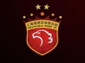 星空体育官网-上海海港实力强劲，击败实力对手